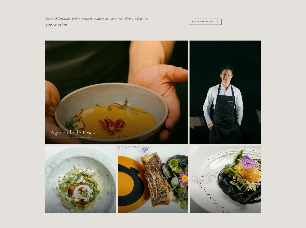 Lookbook — the cuisine